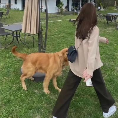 尖东老泥妹之四大天后
